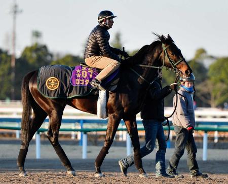 　２年ぶりの勝利を狙うロゴタイプ