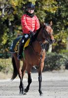 【ダービー卿ＣＴ】クラリティ重賞奪取へ