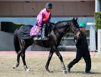 【大阪杯】キズナ連覇へ視界良好