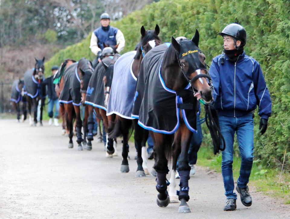 　ルメールとの新コンビで復活を狙うレッドリヴェール（手前）