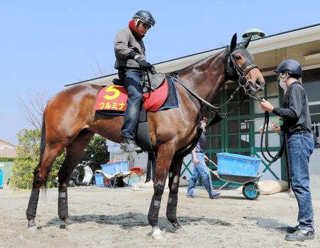 １番人気に推されたチューリップ賞では、１１着と苦杯をなめたクルミナル