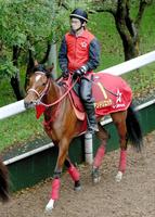 【桜花賞】アンドリエッテ逆転態勢整う