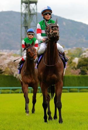 ９着に敗れたルージュバック（手前）、後方はクルミナル（撮影・石湯恒介）