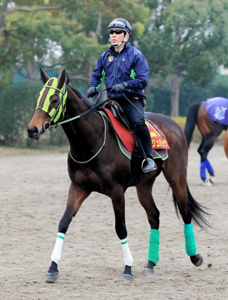 　万全の態勢でレースを迎えるルージュバック