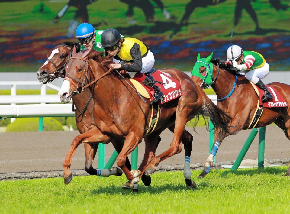 ベラ ジョン カジノ ボーナス 規約 ベラ ジョン カジノ ボーナス 規約