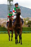 【桜花賞】ルージュ不敗神話崩れ9着