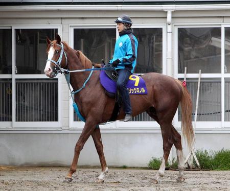 　皐月賞で逃走Ｖを狙うスピリッツミノル（撮影・山口　登）
