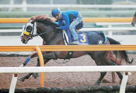 浜中を背に栗東ＣＷで追い切るキタサンブラック＝撮影・石湯恒介