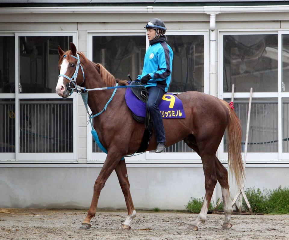 　皐月賞で逃走Ｖを狙うスピリッツミノル（撮影・山口　登）
