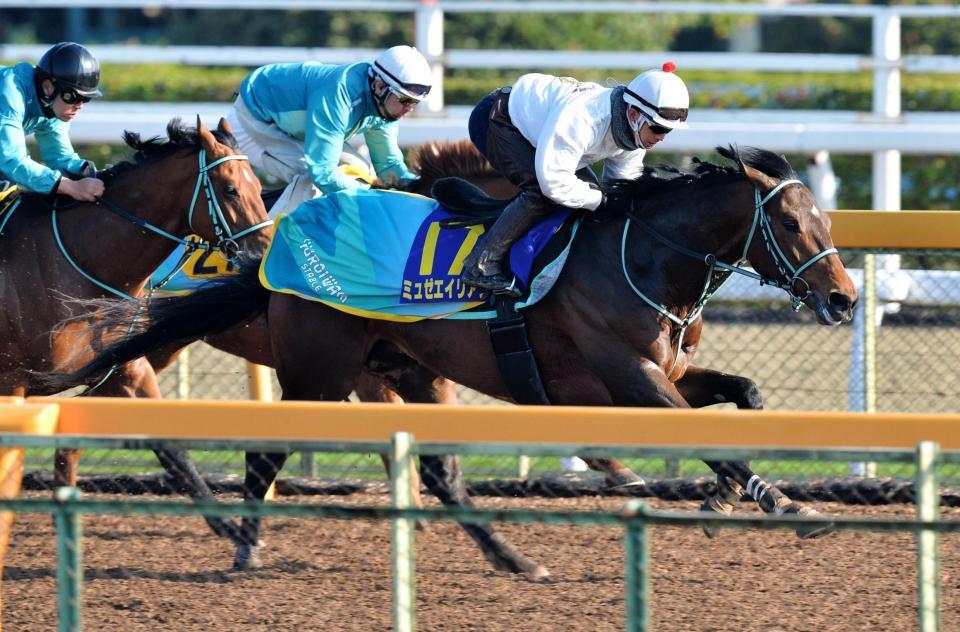 ウッドチップコースを柴山を背に３頭併せで追い切ったミュゼエイリアン＝美浦トレセン