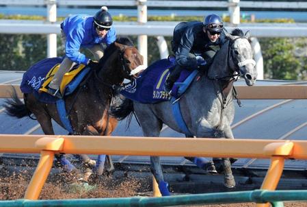 　蛯名を背に僚馬を一気に突き放したダノンプラチナ（右）
