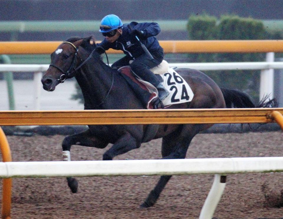 　岩田を背に栗東ＣＷで先着を決めたローマンレジェンド