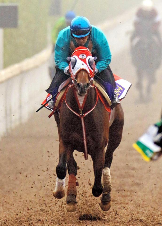 　福永を背に栗東坂路を駆け上がるリアルスティール。西の大器がさすがの動きを見せつけた