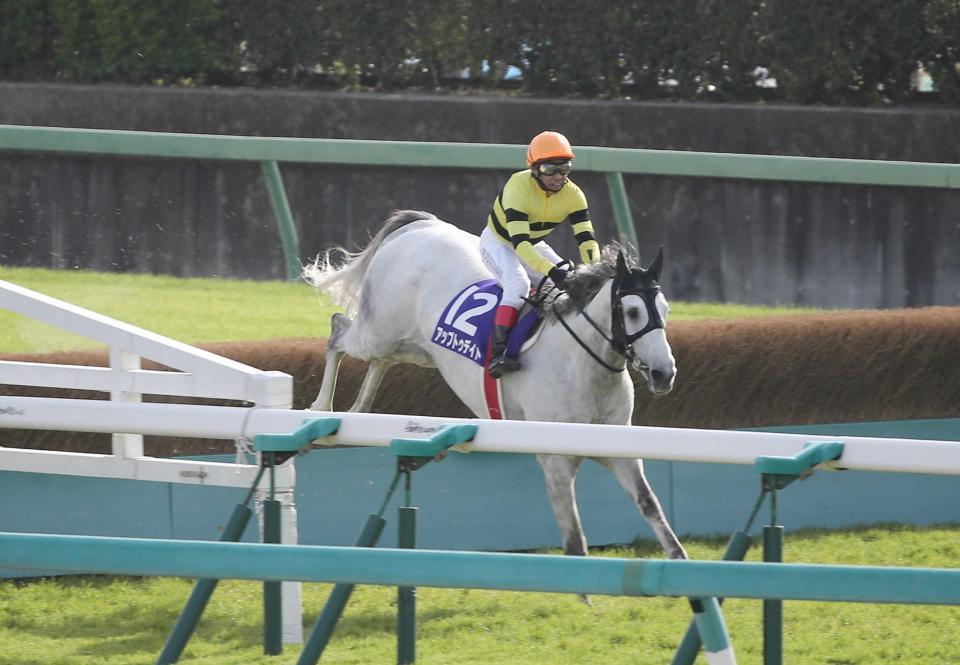 　最終障害を先頭で飛越するアップトゥデイト