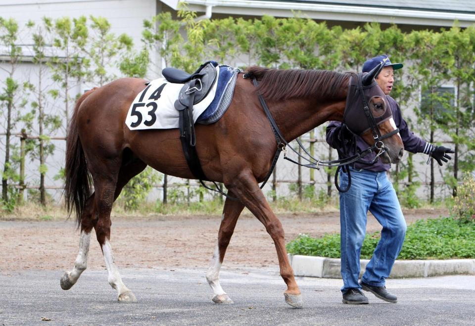 　目下２連中と勢いに乗るテイエムタイホー