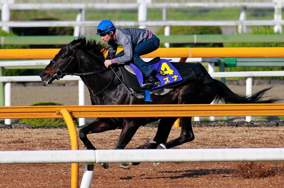 　武豊を背に栗東ＣＷで追い切るキズナ。毛ヅヤは“ビカビカ”だ