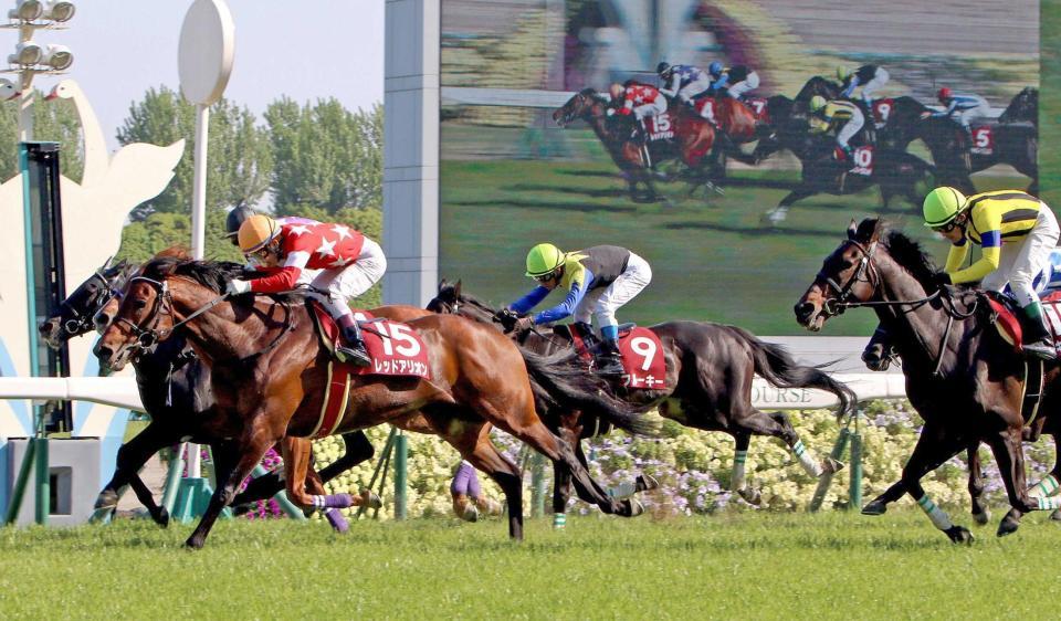 　ゴール前の激しい競り合いでマイラーズＣを制したレッドアリオン（左手前）＝撮影・山口登