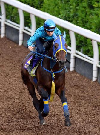 　ウインバリアシオンは福永を背に栗東坂路で追われた