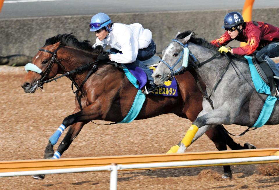 　美浦Ｗで１週前追い切りをしたミュゼスルタン＝美浦トレセン（撮影・佐々木彰尚）