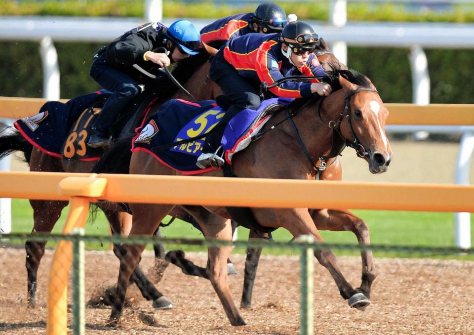 　３頭併せで先着を決めたアルビアーノ。無傷Ｖ４へ視界は良好だ