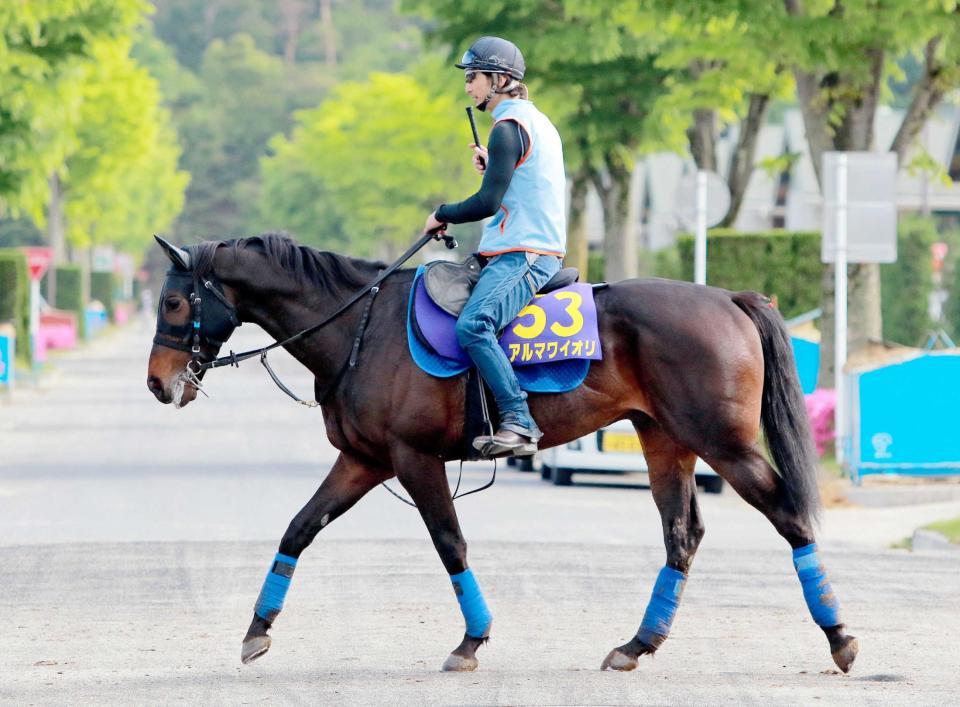 　万全の態勢を敷き大一番に臨むアルマワイオリ