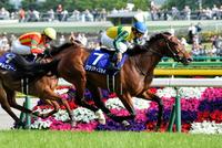 ＮＨＫマイルＣを制したクラリティスカイ＝東京競馬場（撮影・田村亮介）