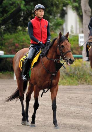 　軌道修正に成功したクラリティシチー