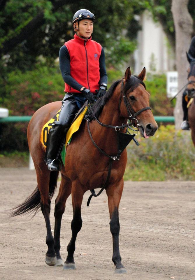 　軌道修正に成功したクラリティシチー