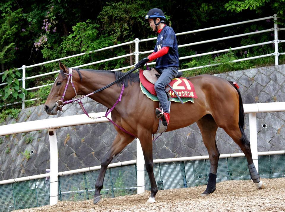 　ヴィクトリアマイルで復活を狙うメイショウマンボ