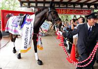 G1馬サクセスブロッケンが1日駅長/競馬・レース/デイリー