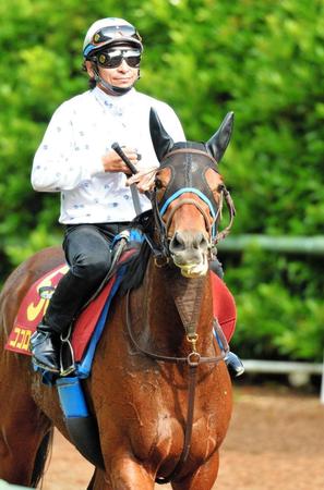 　一発を狙うココロノアイ