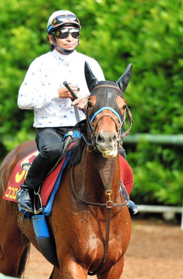 　一発を狙うココロノアイ