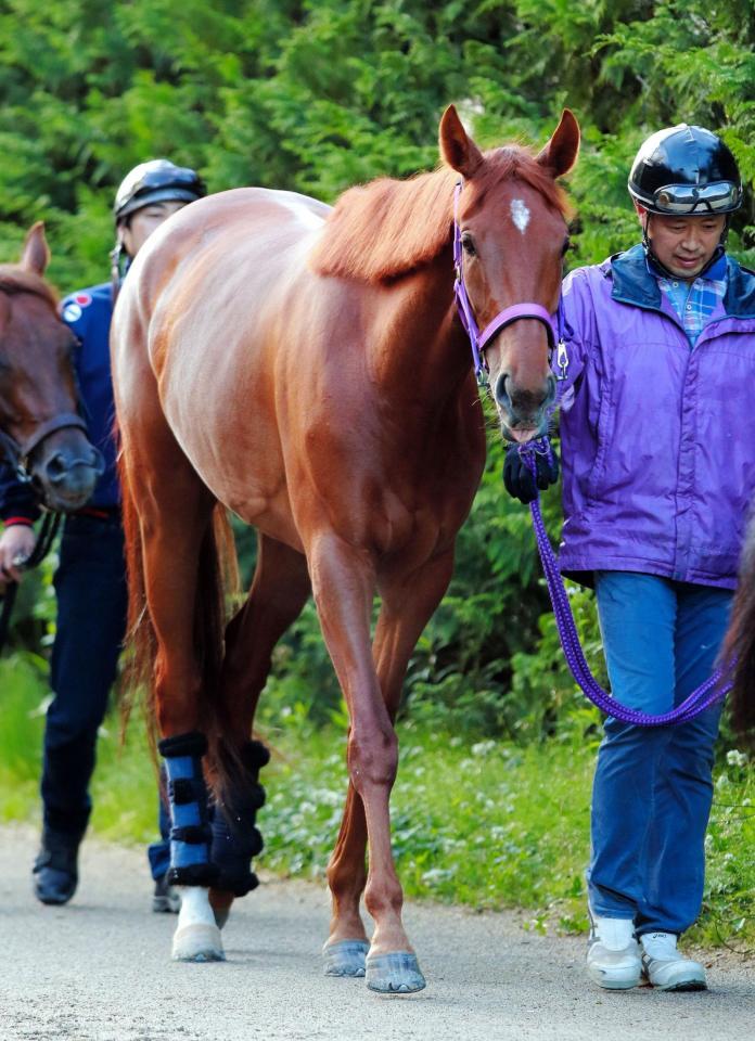 　２冠制覇を狙うレッツゴードンキ