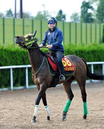 巻き返しへ向けて態勢が整ったルージュバック