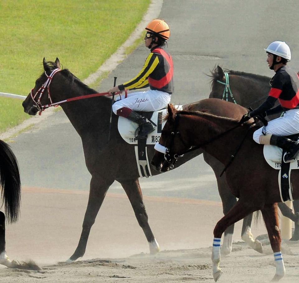 ４着に敗れたリアルスティール＝東京競馬場（撮影・佐々木彰尚）
