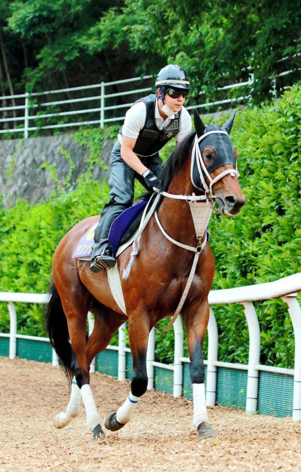 【安田記念】シャーク絶好枠ゲット/競馬・レース/デイリー ...