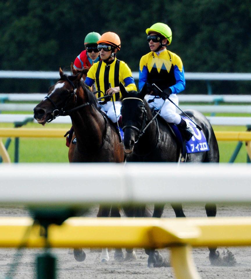 　引き揚げるフィエロ（右）