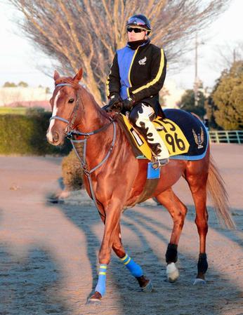 　前走で波乱を演出したフェスティヴタローが“もう一丁”を狙う