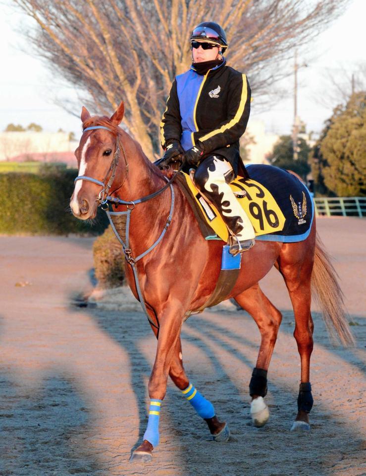 　前走で波乱を演出したフェスティヴタローが“もう一丁”を狙う