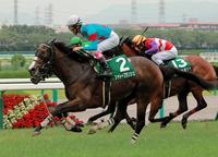 大外から差しきるシャトーブランシュ（撮影・石湯恒介）