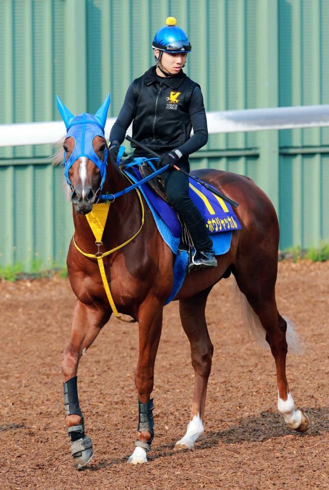 　２４５日ぶりの実戦に挑むトーホウジャッカル