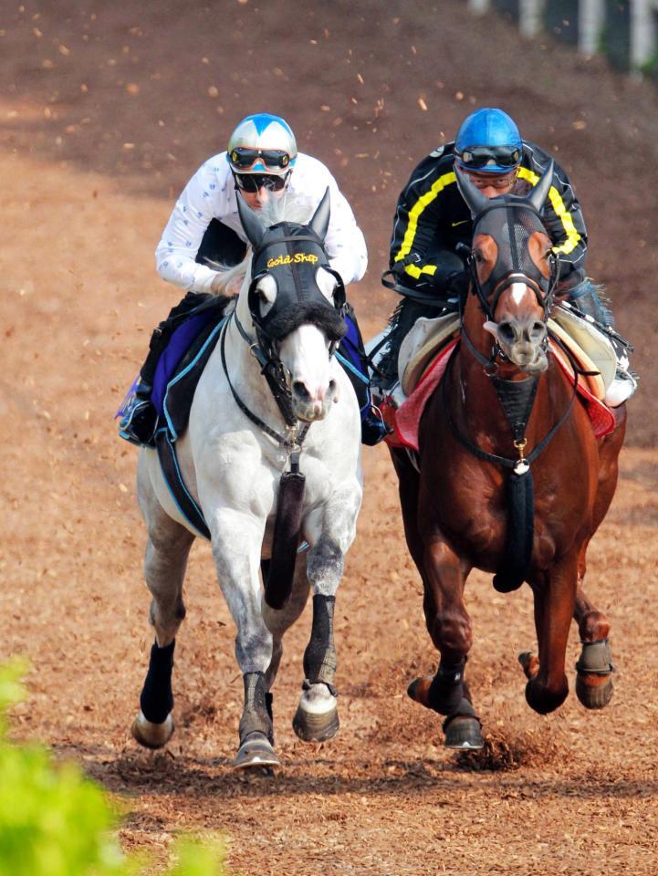 宝塚記念 ゴールド新たな伝説へ 競馬 レース デイリースポーツ Online