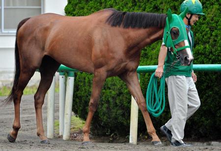 　０５年スイープトウショウ以来の牝馬Ｖを狙うヌーヴォレコルト