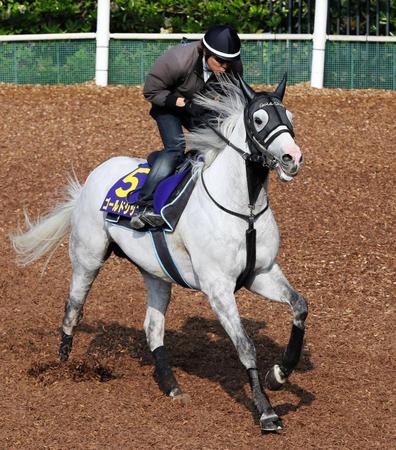 　気分良く登坂したゴールドシップ