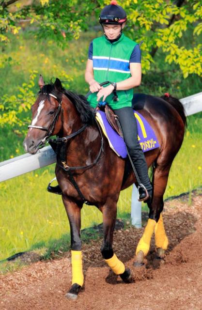 【宝塚記念】オンリー万全！文句なし