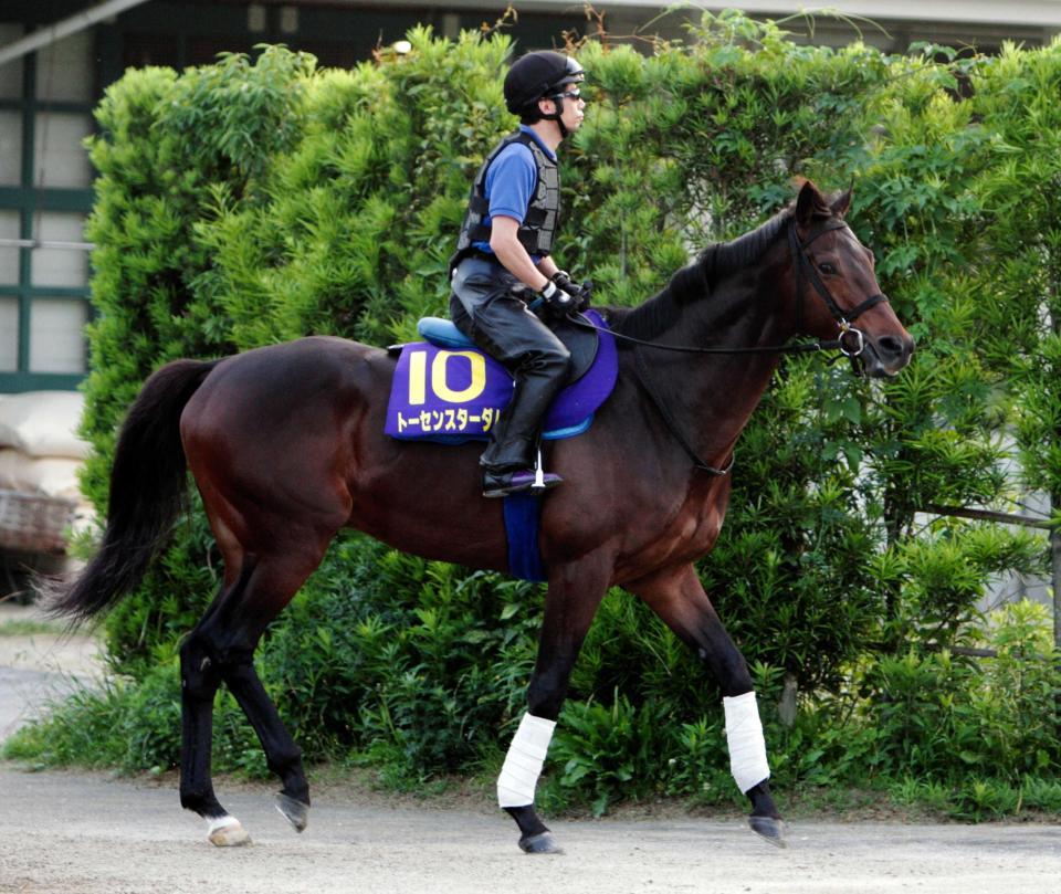 　豪州遠征明けでもトーセンスターダムは活気満点の気配だ