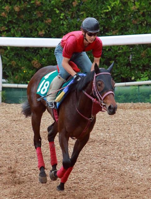 【ＰＯＧ】エスティタートをユタカ絶賛