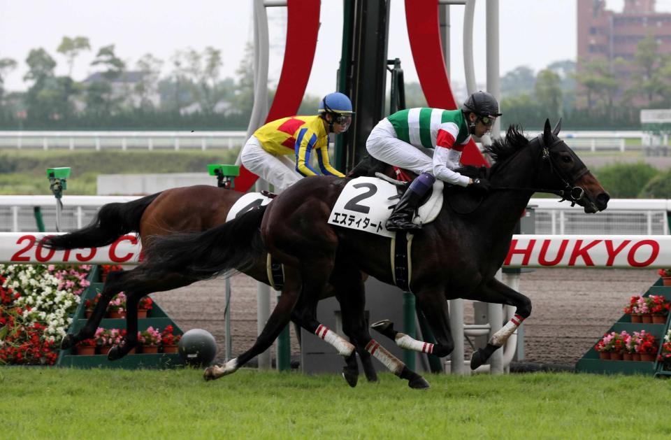 ｐｏｇ エスティタート走り方が父似 競馬 レース デイリースポーツ Online