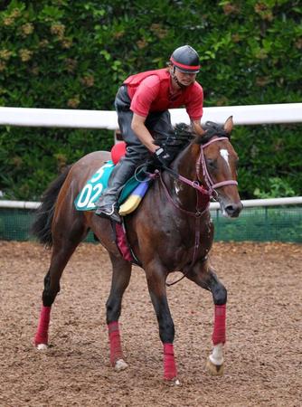　坂路を駆け上がるオーバーカム