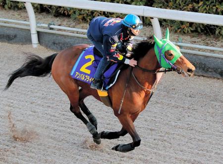 急死したアンバルブライベン